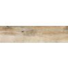 23044 dlazba rako saloon dakvf747 30x120 cm