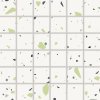Mozaika RAKO Spectra WDM05549 30x30 cm