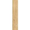 157482 28740 dlazba giornata oro 60x11 5