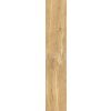 157482 28737 dlazba giornata oro 60x11 2
