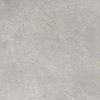157559 29054 dlazba masterstone silver pol 59 7x59 7 2