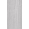 Obklad Tampa Grey Rekt. 60x30 cm
