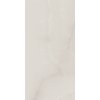 54520 3 54520 3 54520 3 159670 31723 dlazba elegantstone bianco polpoler 119 8x59 8 4