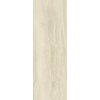 54583 2 54583 2 54583 2 160677 32667 obklad silence beige lesk 75x25 3