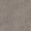 55765 55765 55765 169347 44705 dlazba ingastone grey 2 0 cm 59 5x59 5 r11 1