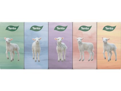 p66559 tento chic style hygienicke kapesniky 3 vrstve 10 kusu 1 1 1425980