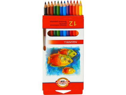 3327 8a5eade9 bfc8 45a2 8f09 d489ee359f4b 6D876B 2