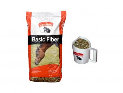 basics fiber