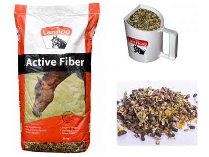 active fiber