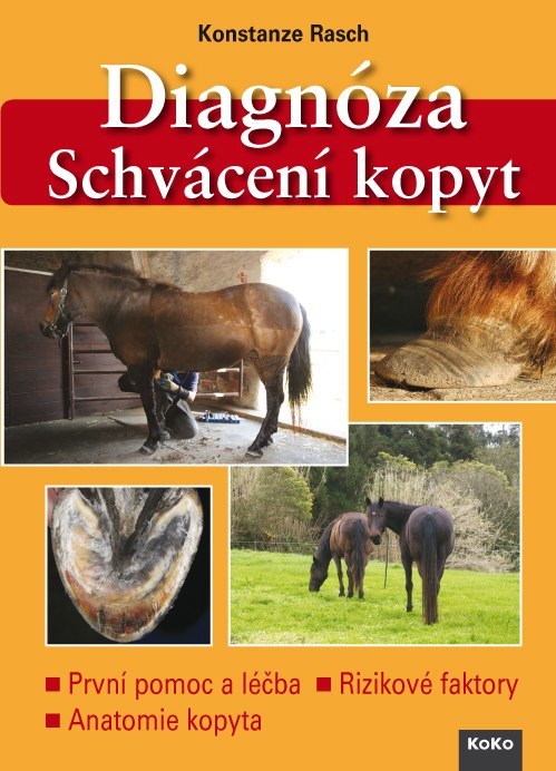 RECENZE: Diagnóza - schvácení kopyt