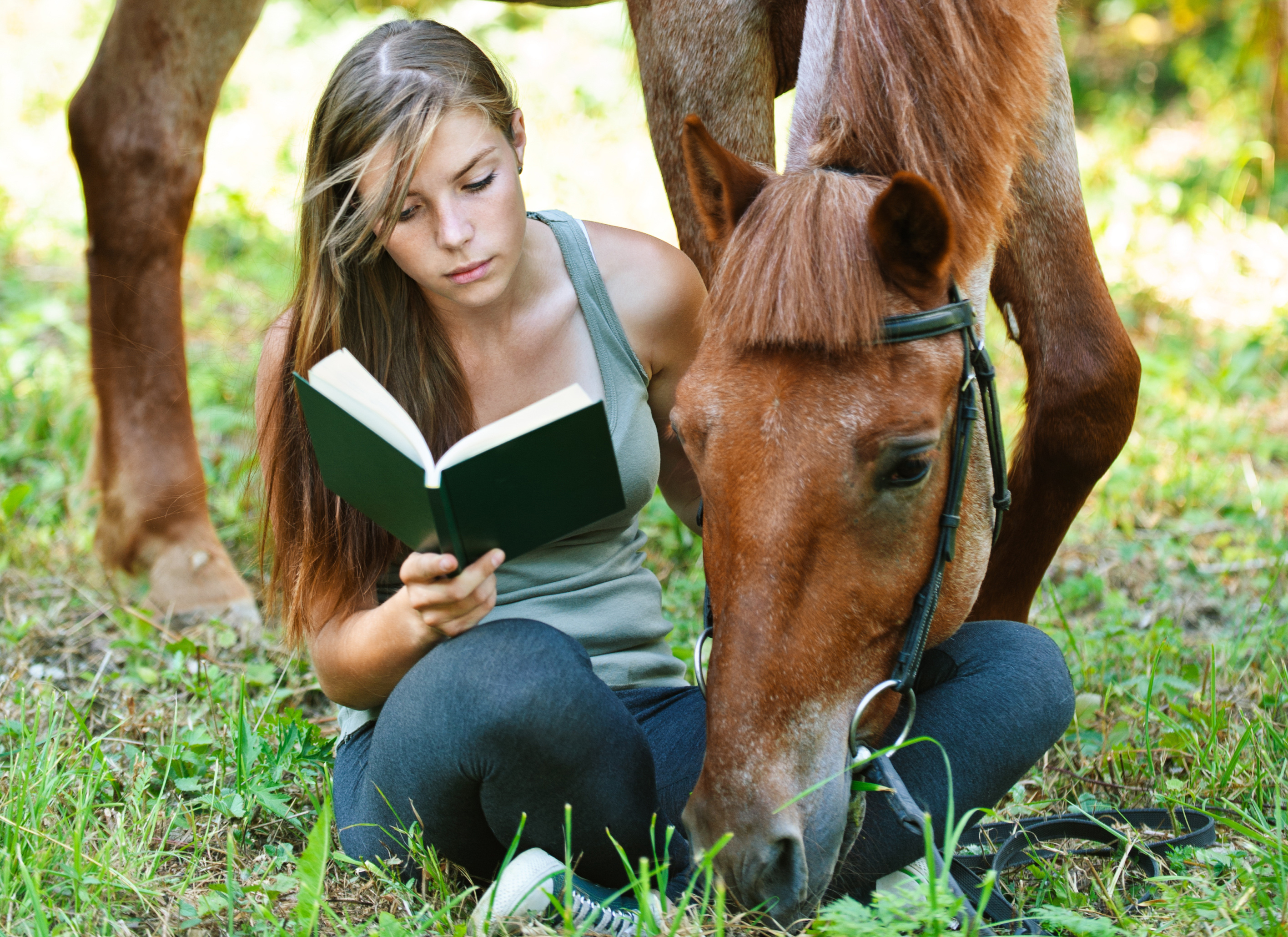 TOP20 koňských knih za rok 2019