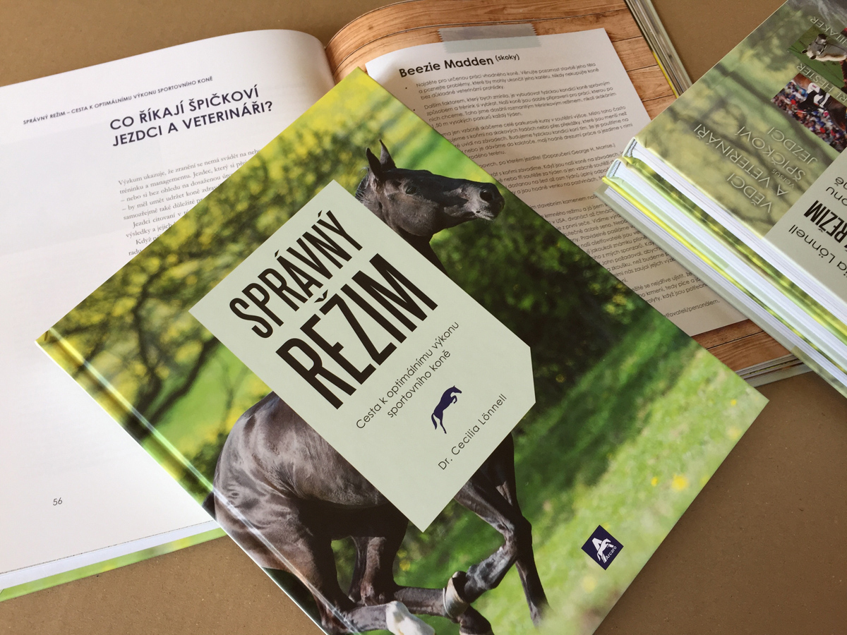 RECENZE: Správný režim