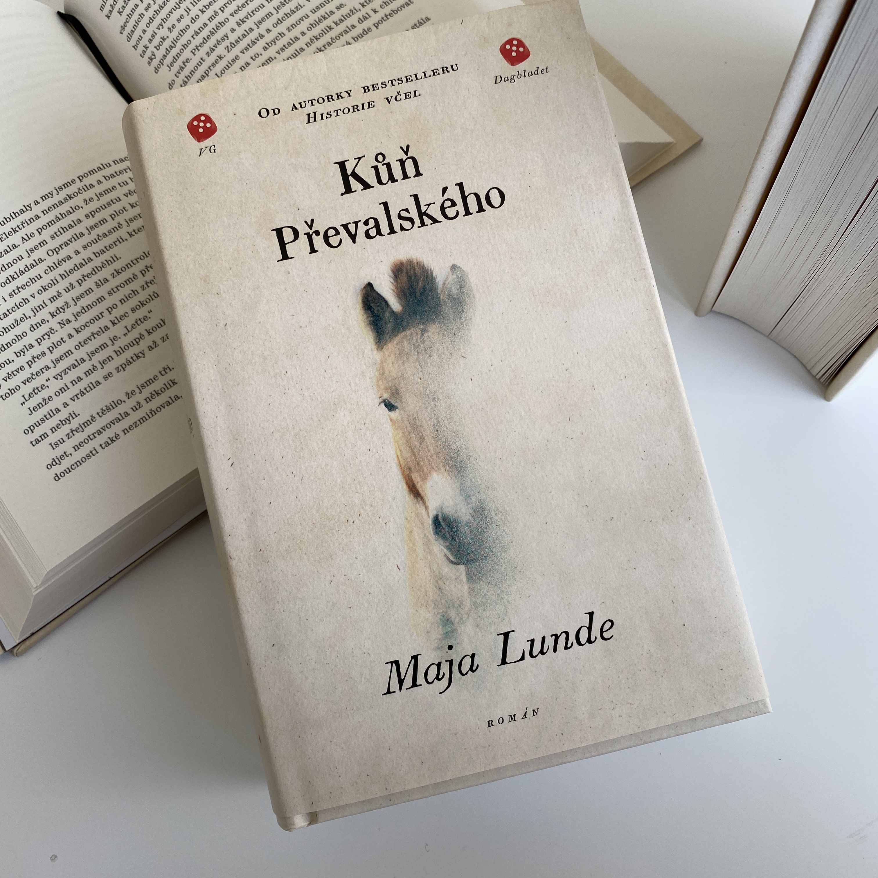 Skladem Kůň Převalského