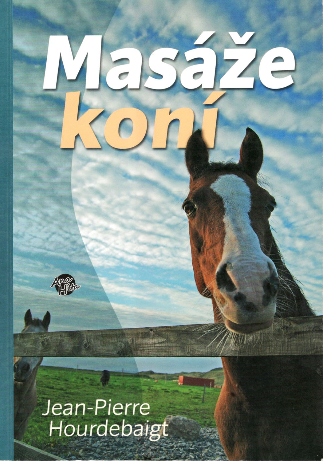 RECENZE: Masáže koní