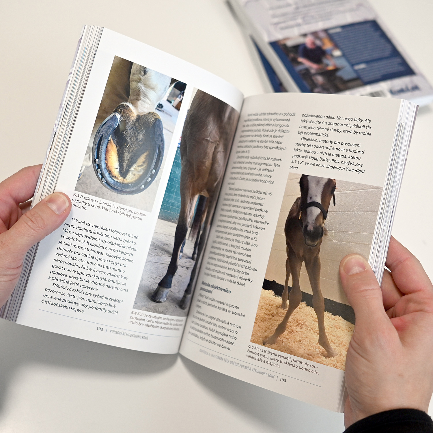 Podkovářství pro „obyčejné“ majitele