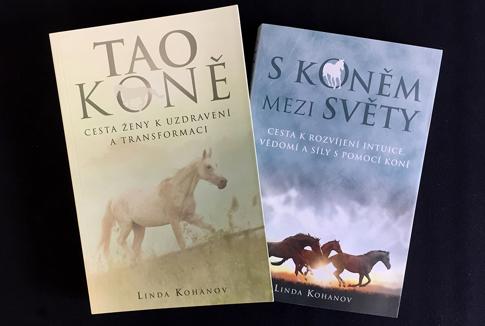 Dvojrecenze: Tao koně a S koněm mezi světy
