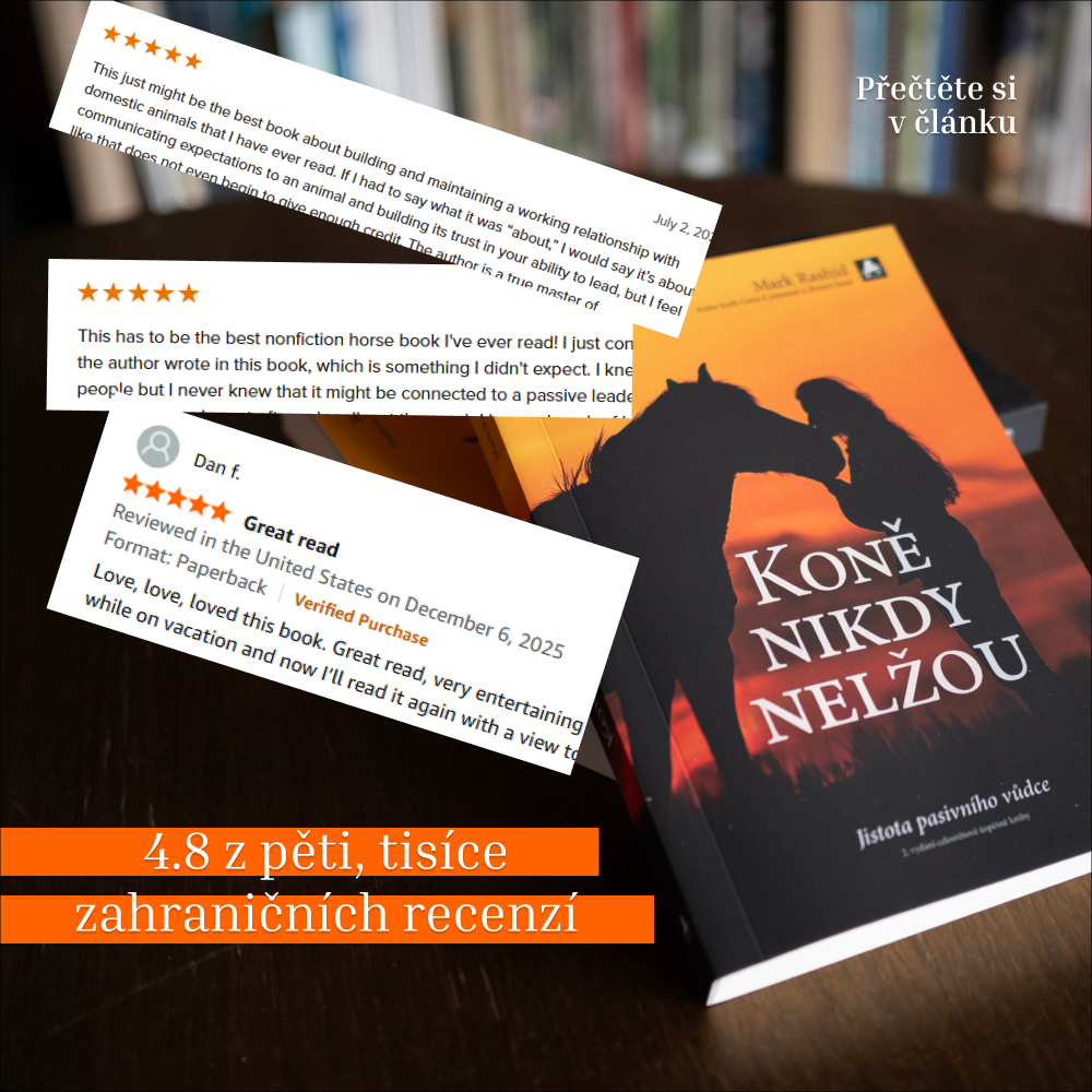 4,8 z pěti. Kniha Koně nikdy nelžou očima zahraničních recenzí