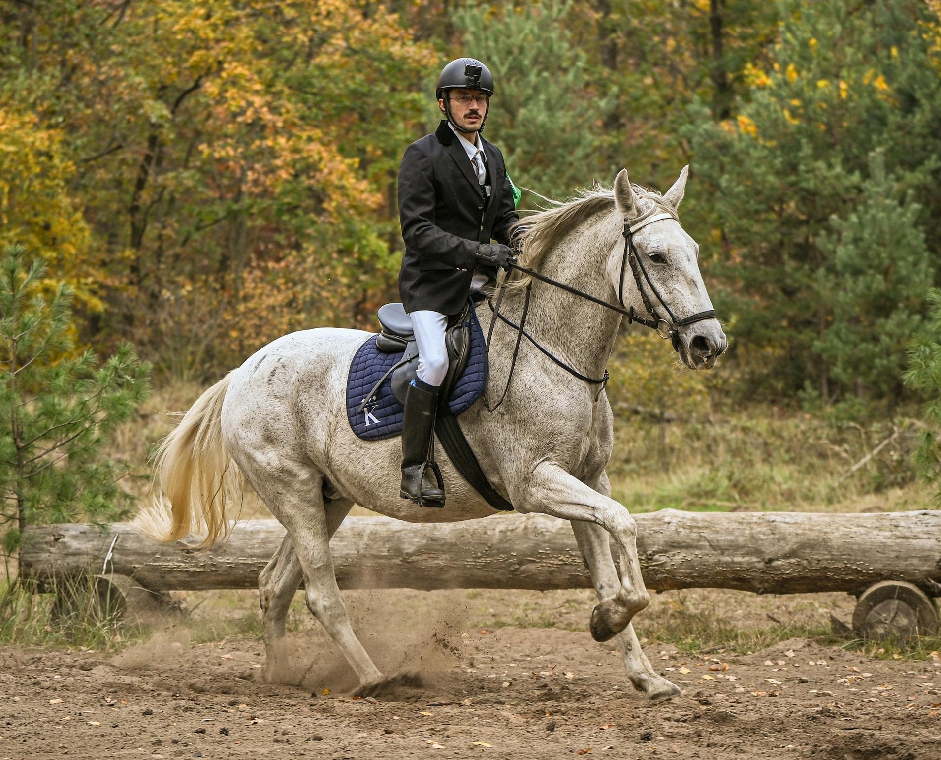 Tipy od věrných zákazníků: Učitelé ze staré školy mě motivují ke svědomité a šetrné práci s koňmi, vysvětluje Martin