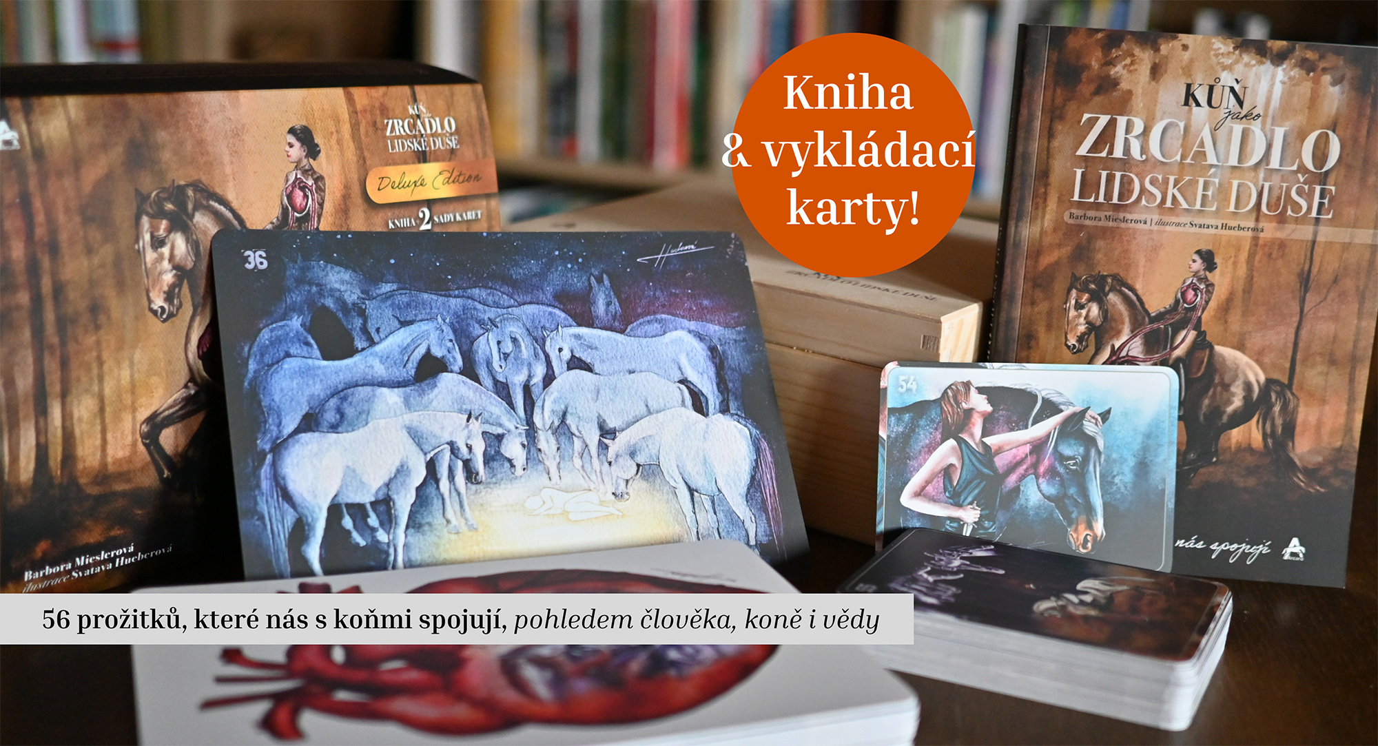 Kůň jako zrcadlo lidské duše