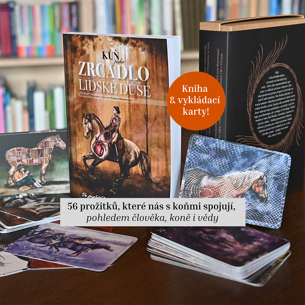 Kůň jako zrcadlo lidské duše