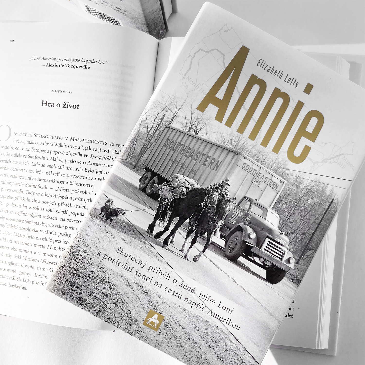 Annie_ctverec_1500