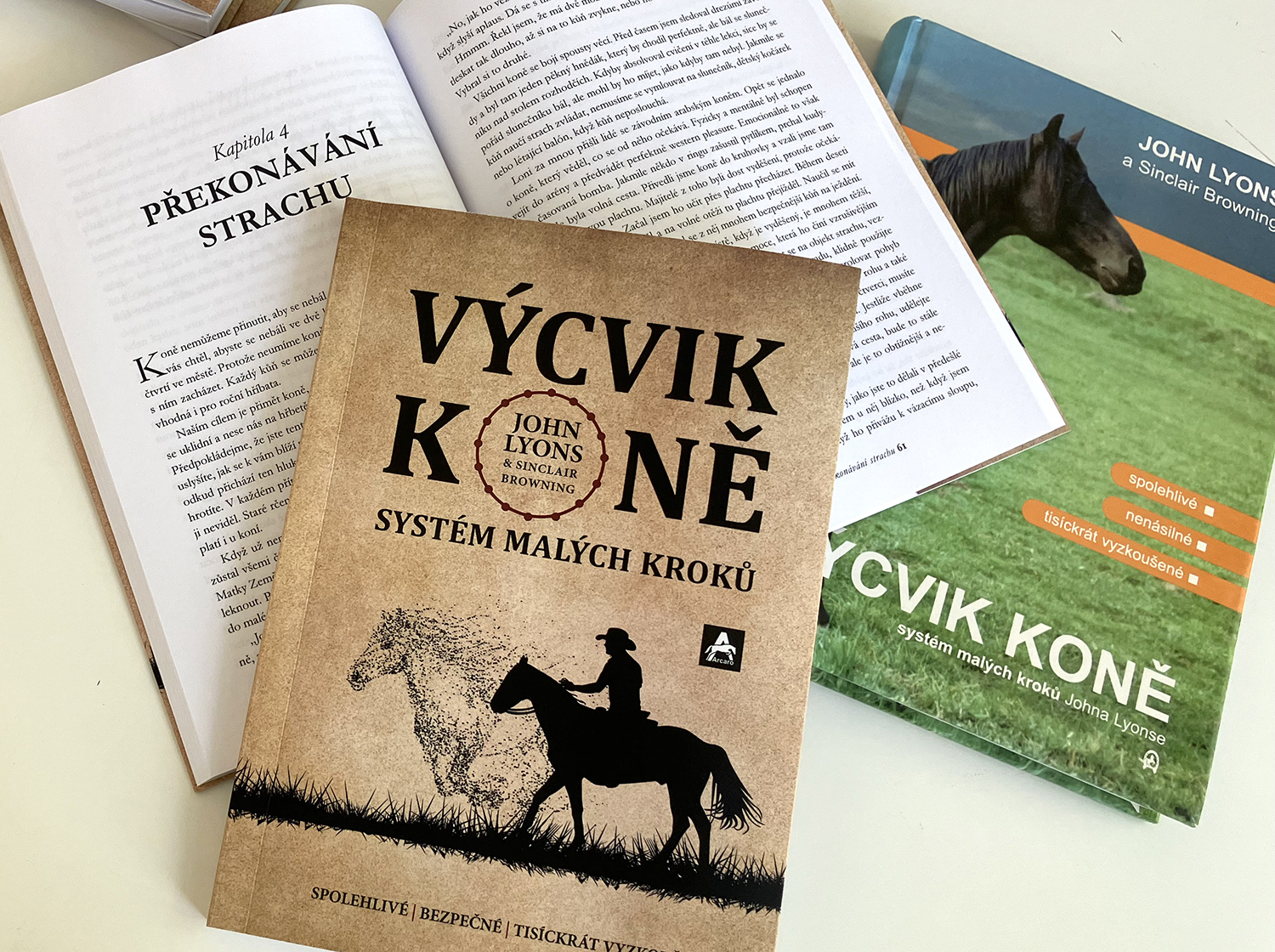 Vycvik_kone_Lyons8