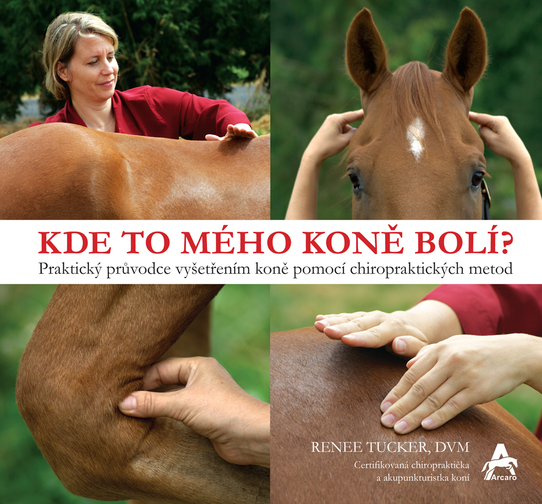 Chiropraxe, Kde to mého koně bolí? Renee Tucker