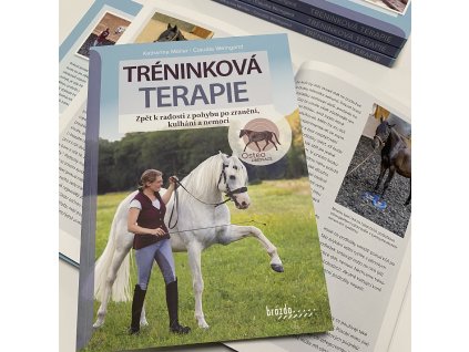 Tréninková terapie (Katharina Möller, Claudia Weingand)