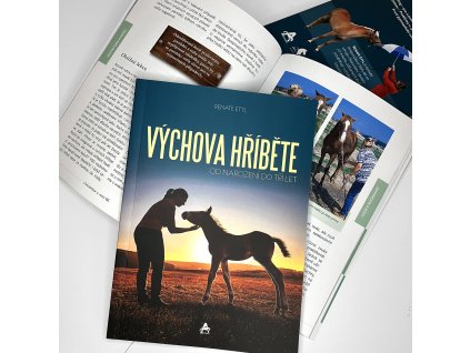 Vychova hribete ctverec