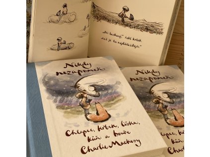 Chlapec, krtek, liška, kůň a bouře: Nikdy nezapomeň (Charlie Mackesy)