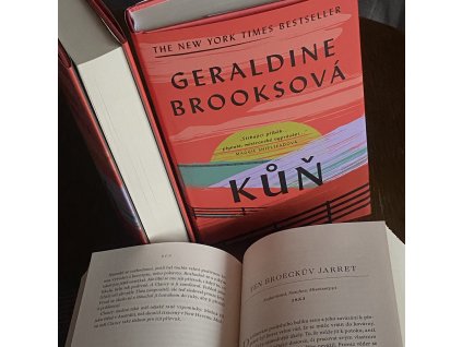 Kůň (Geraldine Brooksová)