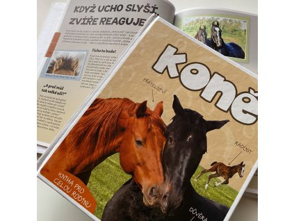 Koně (Dorota Kozińska)