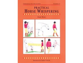Practical Horse Whispering