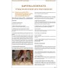 Závodní příprava jezdce, 3. část k ZZVJ (Doleželová L.)