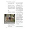 Trénink hřbetu koně - na lonži (Kirsten Jung)