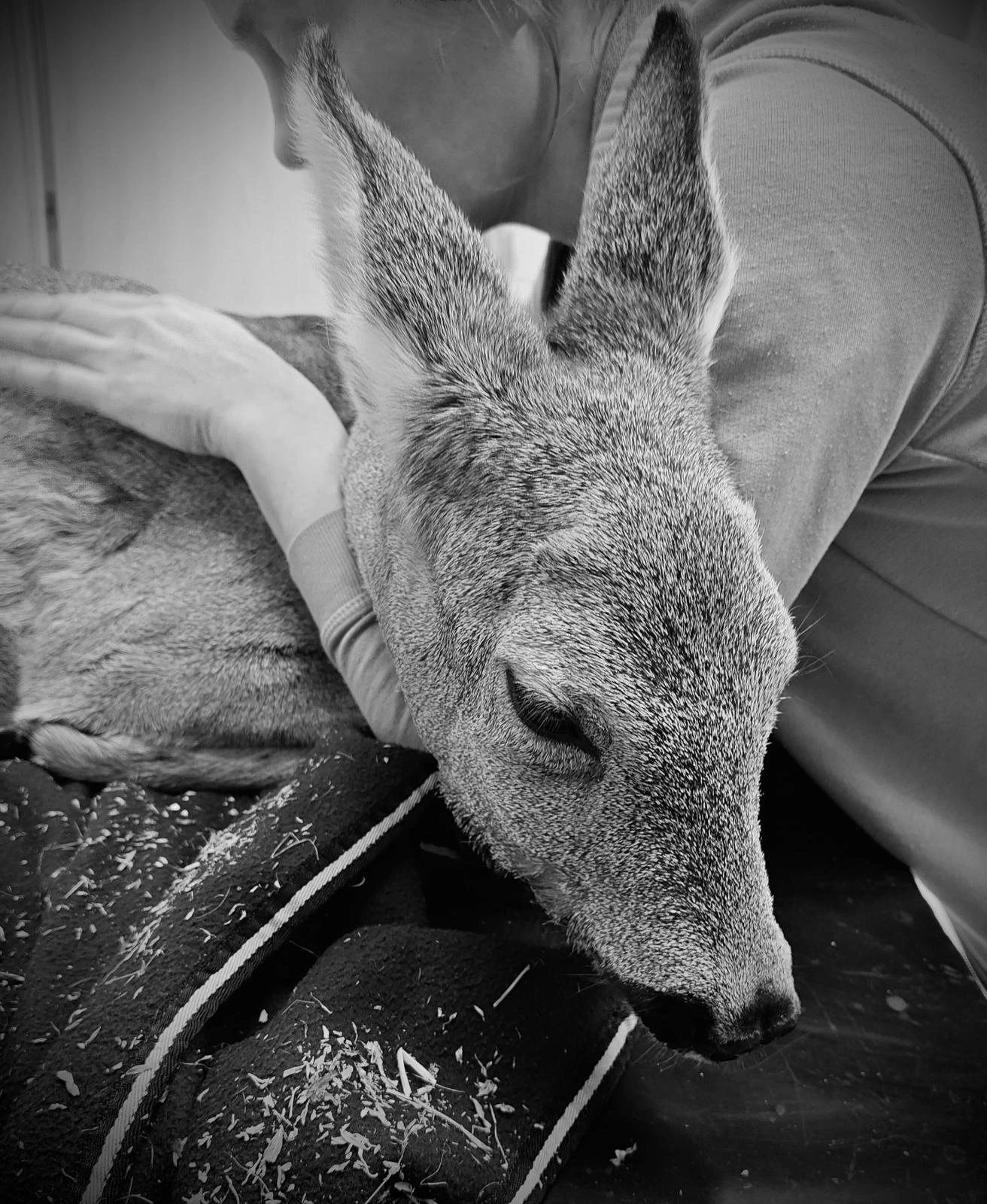 638705775_1282268487367848_8263275233731441731_n