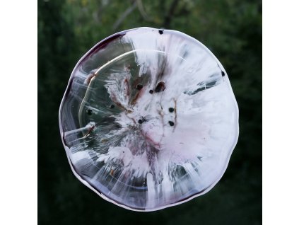 9B81B158 7FBD 4B71 A5F9 47AED74B8705