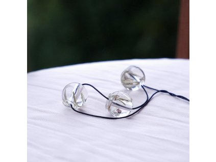 čiré borůvky s jehličím