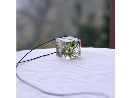 čirá krychle s mechem a šafránem