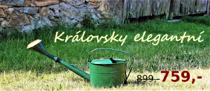 Konev zelená královsky elegantní