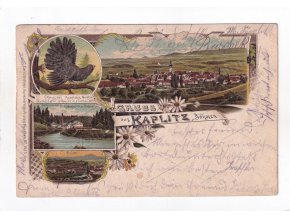 Kaplice Český Krumlov Šumava DA 4. okénková koláž litografie barevná tetřev nákl. Carl Otto Hayd München č. 1055 1a