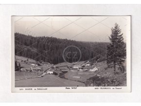 Modrava Šumava Klatovy Bienertova pila Roklanský potok ČB foto J. Wolf č. 3079 1a