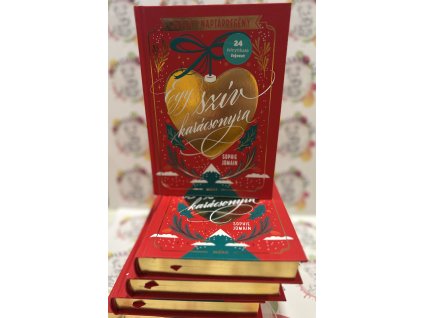 Egy szív karácsonyra - Adventi naptárregény Sophie Jomain