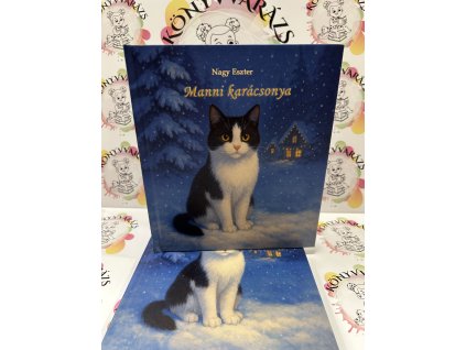 Manni karácsonya Nagy Eszter