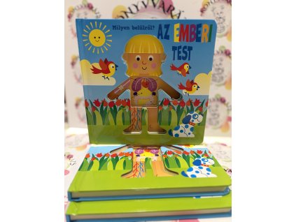 Milyen belülről - Az emberi test