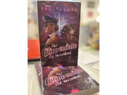 Gál Vilmos: Egy Chippendale-fiú vallomásai