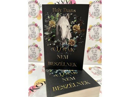 Rómában kezdődik Holy Evans