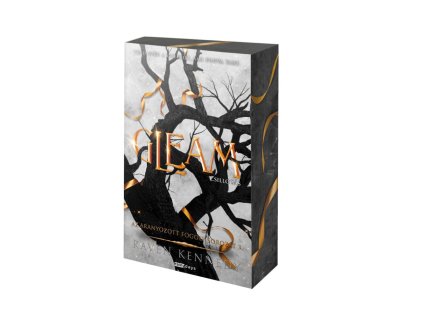 Gleam - Csillogás - (Különleges kiadás) Raven Kennedy 3.