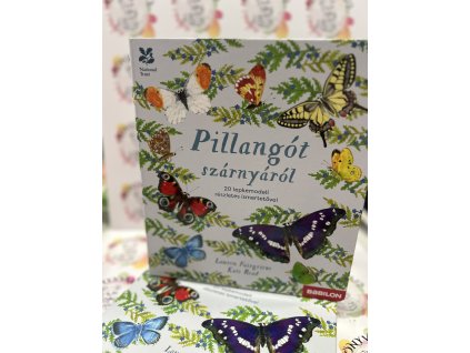 Pillangót szárnyáról - 20 lepkemodell részletes ismertetővel Lauren Fairgrieve