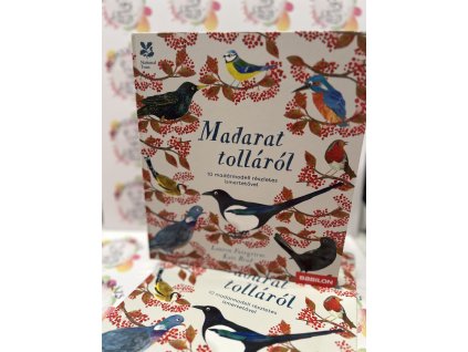 Madarat tolláról - 10 madármodell részletes ismertetővel Lauren Fairgrieve